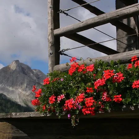 Albergo Diffuso Sauris in Sauris Di Sopra Exterior foto